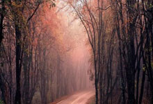 阿森纳和托特纳姆热刺榜首争霸